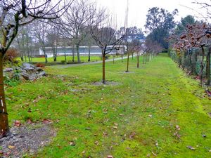 Villa Portugal - Vila Praia de Ancora