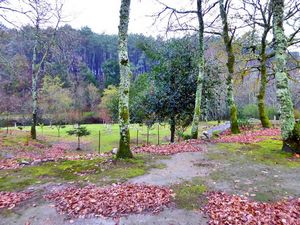 Villa Portugal - Vila Praia de Ancora